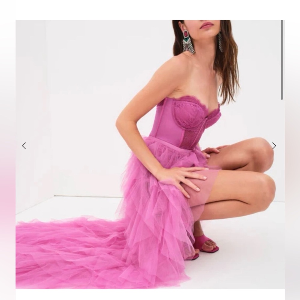 X REVOLVE Bustier Gown in Pink
For Love and Lemons - Picture 9 of 10